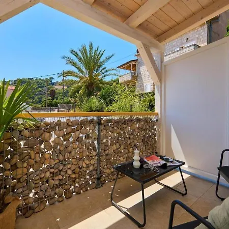 Palm Tree * דוברובניק