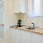Apartmán Palm Tree *