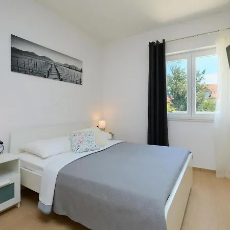 Palm Tree * Dubrovnik