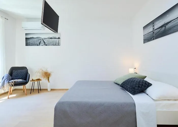 Apartment Palm Tree *