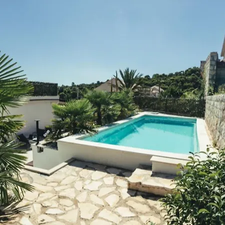 Palm Tree Appartement