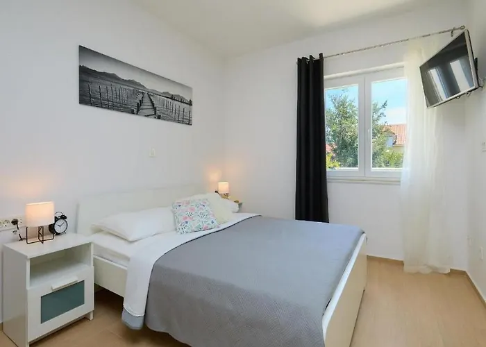 Palm Tree * Dubrovnik