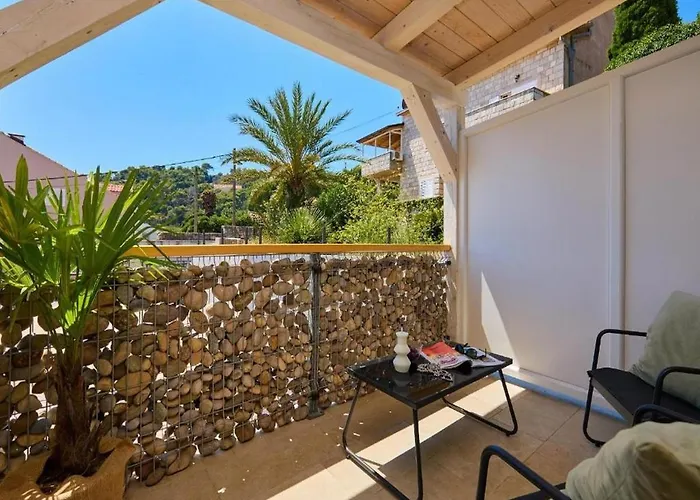 Palm Tree * Dubrovnik