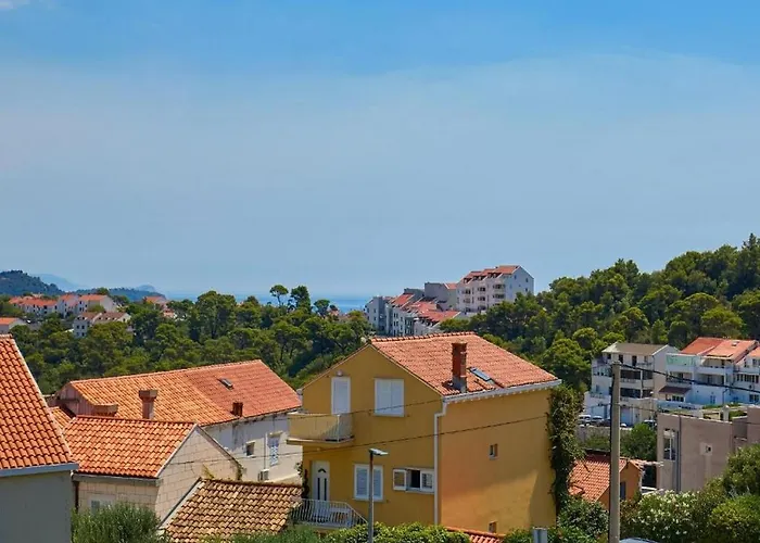 Apartamento Palm Tree