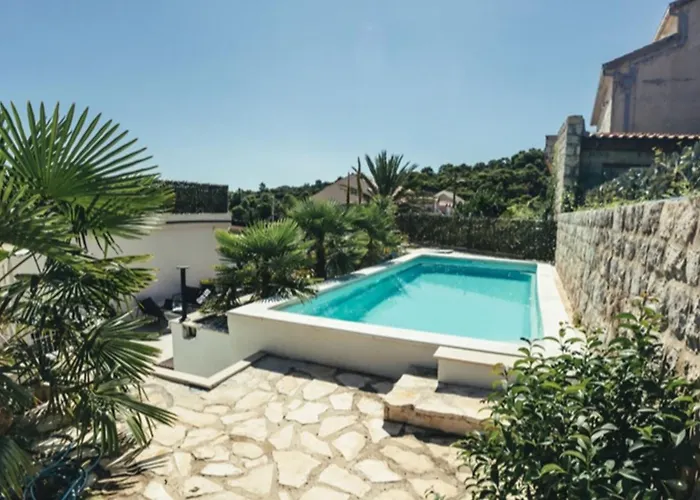 Palm Tree Appartement